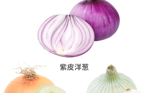 【身上起好多血痣怎么回事】身上起好多小红点是怎么回事 - 身上起好多红疙瘩不痒怎么回事啊网